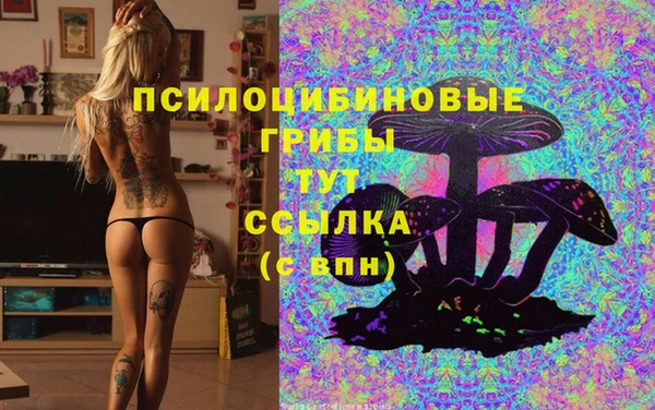 мяу мяу мука Вяземский