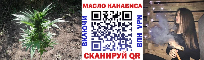 Купить где Кемь ТГК жижа